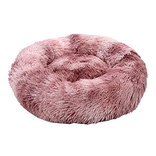 Hunde Bett Katzenbett Hundebett Flauschig Winterwarme Hundehütte Plüschtierhütte Vier Jahreszeiten Erhältlich Teddy Hundehütte Matratze Katzenhütte Haustierprodukte, Rotbraun, 35 Breite * 20 Höhe Cm von TUPMITUPO