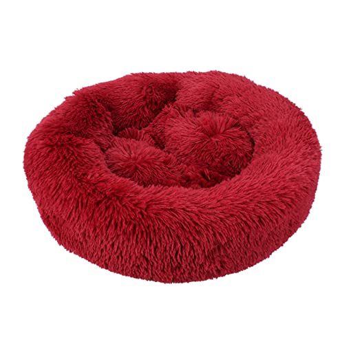 Hunde Bett Katzenbett Hundebett Flauschig Winterwarme Hundehütte Plüschtierhütte Vier Jahreszeiten Erhältlich Teddy Hundehütte Matratze Katzenhütte Heimtierbedarf, Weinrot, 120 Breite * 20 Höhe Cm Hunde Bett Katzenbett Hundebett Flauschig Winterwarme Hundehütte Plüschtierhütte Vier Jahreszeiten Erhältlich Teddy Hundehütte Matratze Katzenhütte Heimtierbedarf, Weinrot, 120 Breite * 20 Höhe Cm von TUPMITUPO