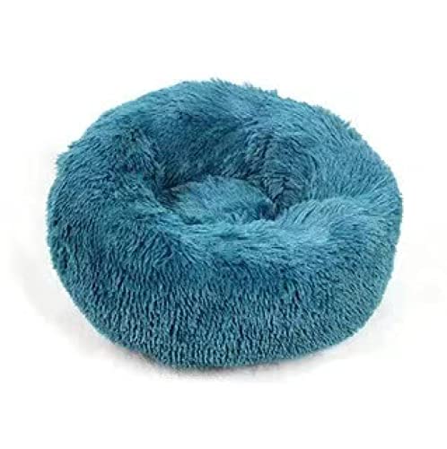 TUPMITUPO Hunde Bett Katzenbett Hundebett Flauschig Deep Sleep Hundehütte Katzenhütte Runde Langhaarhütte Herbst- Und Winterstreu Katzenmatratze Kleiner Und Mittelgroßer Hund Vogelblau 40cm TUPMITUPO Hunde Bett Katzenbett Hundebett Flauschig Deep Sleep Hundehütte Katzenhütte Runde Langhaarhütte Herbst- Und Winterstreu Katzenmatratze Kleiner Und Mittelgroßer Hund Vogelblau 40cm von TUPMITUPO