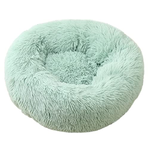 TUPMITUPO Hunde Bett Katzenbett Hundebett Flauschig Katzenhütte Winterwarmes Hundebett Haustierbett Kleine Und Mittelgroße Hundematte Katzenbett Tiefschlaf Haustiernestmatte Fruchtgrün 40cm TUPMITUPO Hunde Bett Katzenbett Hundebett Flauschig Katzenhütte Winterwarmes Hundebett Haustierbett Kleine Und Mittelgroße Hundematte Katzenbett Tiefschlaf Haustiernestmatte Fruchtgrün 40cm von TUPMITUPO