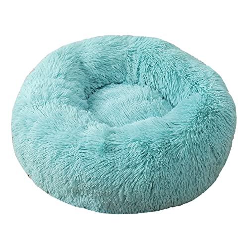 TUPMITUPO Hunde Bett Katzenbett Hundebett Flauschig Katzenhütte Winterwarmes Hundebett Haustierbett Kleine Und Mittelgroße Hundematte Katzenbett Tiefschlaf Haustiernestmatte Smaragdgrün 50cm TUPMITUPO Hunde Bett Katzenbett Hundebett Flauschig Katzenhütte Winterwarmes Hundebett Haustierbett Kleine Und Mittelgroße Hundematte Katzenbett Tiefschlaf Haustiernestmatte Smaragdgrün 50cm von TUPMITUPO