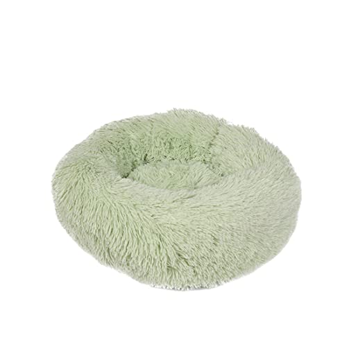 TUPMITUPO Hunde Bett Katzenbett Hundebett Flauschig Runde Herbst Und Winter Tiefschlaf Hundehütte Haustierhütte Plüsch Hundematte Katzenmatte Haustiermatte Hellgrün 40 TUPMITUPO Hunde Bett Katzenbett Hundebett Flauschig Runde Herbst Und Winter Tiefschlaf Hundehütte Haustierhütte Plüsch Hundematte Katzenmatte Haustiermatte Hellgrün 40 von TUPMITUPO