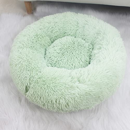 TUPMITUPO Hunde Bett Katzenbett Winterwarme Hundehütte Plüsch-haustierhütte Vier Jahreszeiten Erhältlich Teddy-hundehütte Matratze Katzenhütte Haustierprodukte, Fruchtgrün, 35 Breite * 20 Höhe cm TUPMITUPO Hunde Bett Katzenbett Winterwarme Hundehütte Plüsch-haustierhütte Vier Jahreszeiten Erhältlich Teddy-hundehütte Matratze Katzenhütte Haustierprodukte, Fruchtgrün, 35 Breite * 20 Höhe cm von TUPMITUPO