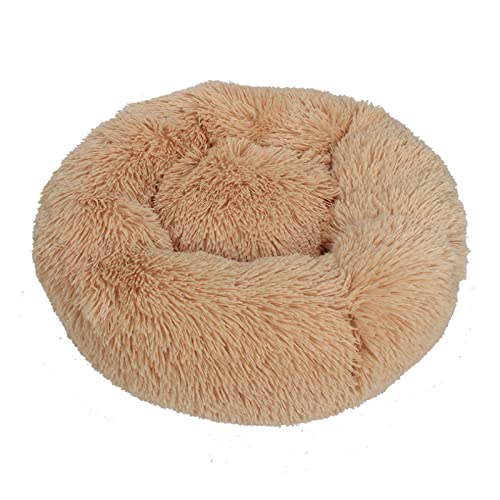 TUPMITUPO Hunde Bett Katzenbett Winterwarme Hundehütte Plüsch-haustierhütte Vier Jahreszeiten Erhältlich Teddy-hundehütte Matratze Katzenhütte Heimtierbedarf, Farbe Aprikose, 120 Breite * 20 Höhe cm TUPMITUPO Hunde Bett Katzenbett Winterwarme Hundehütte Plüsch-haustierhütte Vier Jahreszeiten Erhältlich Teddy-hundehütte Matratze Katzenhütte Heimtierbedarf, Farbe Aprikose, 120 Breite * 20 Höhe cm von TUPMITUPO