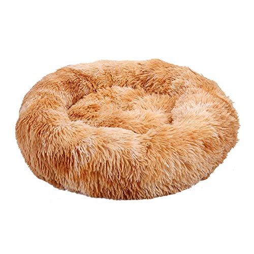 TUPMITUPO Hunde Bett Katzenbett Winterwarme Hundehütte Plüschtierhütte Vier Jahreszeiten Erhältlich Teddy Hundehütte Matratze Katzenhütte Haustierprodukte, Farbe Orange, 110 Breite * 26 Höhe cm von TUPMITUPO