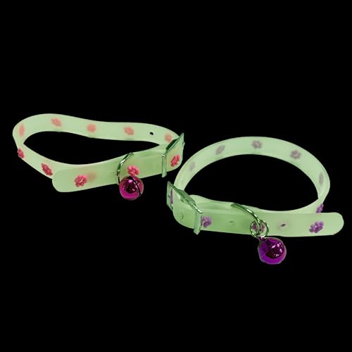 2 Stück Fluoreszierendes Silikon Haustierhalsband, Verstellbares Hundehalsband und Katzenhalsband mit Leuchtendem Pfotenmuster, Weiches Sicherheits-Leuchthalsband für Haustiere im Dunkeln 2 Stück Fluoreszierendes Silikon Haustierhalsband, Verstellbares Hundehalsband und Katzenhalsband mit Leuchtendem Pfotenmuster, Weiches Sicherheits-Leuchthalsband für Haustiere im Dunkeln von TUYOBG