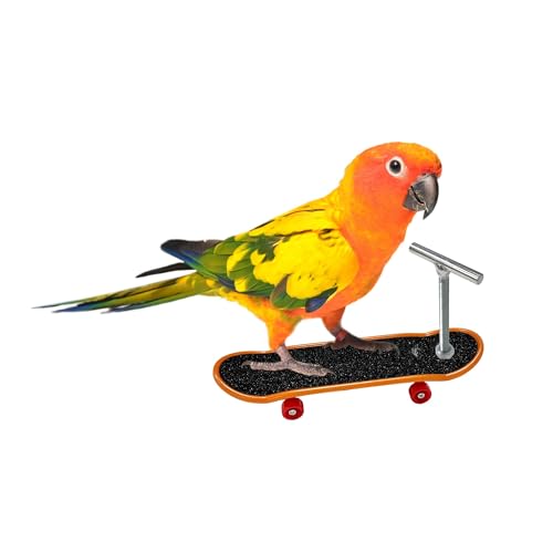 TUYOBG Papagei Skateboard Barsch Ständer Spielzeug mit Beißelement, Mini Training Skateboard für Intelligenzförderung und Bewegung, Interaktives Papageienspielzeug für Kleine Vögel Aller Art TUYOBG Papagei Skateboard Barsch Ständer Spielzeug mit Beißelement, Mini Training Skateboard für Intelligenzförderung und Bewegung, Interaktives Papageienspielzeug für Kleine Vögel Aller Art von TUYOBG