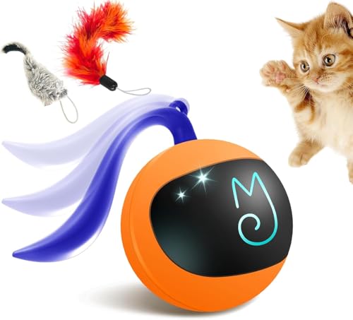 Interaktives Katzenball-Spielzeug-Set von TVM