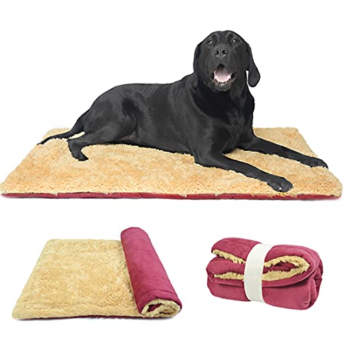 TVMALL Hundekissen Hundebett Decke für Reisen Waschebar Stilvolles Haustiermatte Plüschweiche Wende Bettbettmatte Sofamatratze für Große, Mittelgroße, Kleine Hunde - Rot, 110x70 cm TVMALL Hundekissen Hundebett Decke für Reisen Waschebar Stilvolles Haustiermatte Plüschweiche Wende Bettbettmatte Sofamatratze für Große, Mittelgroße, Kleine Hunde - Rot, 110x70 cm von TVMALL