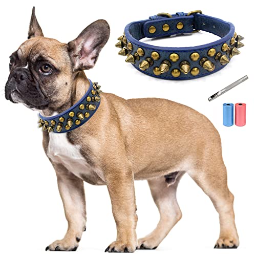 TVMALL Leder Hundehalsband Bissfest mit Pilze Nieten Verstellbar Trainingshalsband für Kleine, Mittelgroße Hunde, Haustiere Outdoor-Halsbänder - Kostenlose Lederlocher und Müllbeutel (Blau, L) von TVMALL