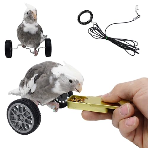 TVOGRUC Vogel-Trainingsspielzeug-Set, Vogel-Intelligenz-Trainingsspielzeug, handgefertigtes Papageien-Balance-Auto mit Futterbox, für Haustiervögel, Papageien, Sittiche, Sittiche, Kleintierspielzeug von TVOGRUC
