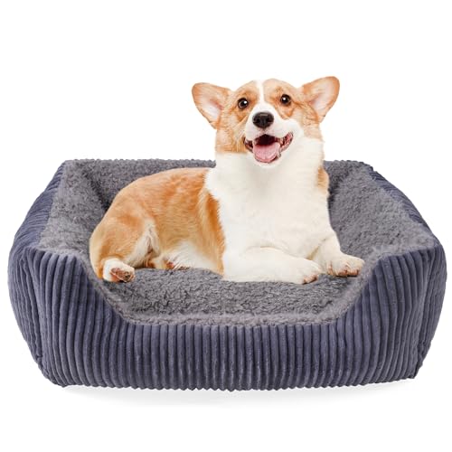 TWDEPART Orthopädisches Hundebett für mittelgroße Hunde, waschbares Plüsch-Hundesofa mit Cordbezug, rutschfest, Grau, 76 x 60 cm von TWDEPART