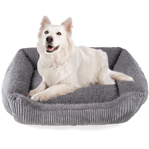 TWDEPART Orthopädisches Hundebett für mittelgroße Hunde, waschbares Plüsch-Hundesofa mit Cordbezug, rutschfest, Hellgrau, 89 x 63 cm von TWDEPART