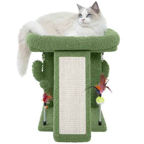 TWDEPART Kratzbaum mit Kratzbaum für Indoor-Katzen, Aktivitätszentrum, Kletterbaum, Katzenmöbel mit verspielten Spielzeugbällen, Grün TWDEPART Kratzbaum mit Kratzbaum für Indoor-Katzen, Aktivitätszentrum, Kletterbaum, Katzenmöbel mit verspielten Spielzeugbällen, Grün von TWDEPART