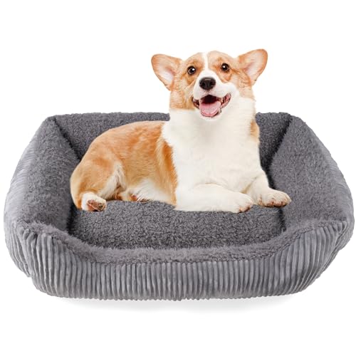 TWDEPART Orthopädisches Hundebett für mittelgroße Hunde, waschbares Plüsch-Hundesofa mit Cordbezug, rutschfest, Hellgrau, 73x60 cm TWDEPART Orthopädisches Hundebett für mittelgroße Hunde, waschbares Plüsch-Hundesofa mit Cordbezug, rutschfest, Hellgrau, 73x60 cm von TWDEPART