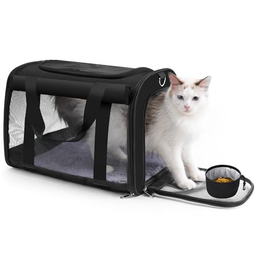 TWDEPART Katzentragerucksack (schwarz) von TWDEPART