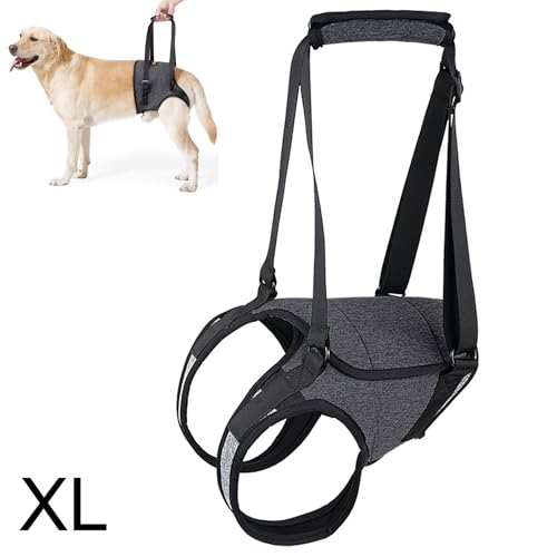 Tragehilfe Hund Tragegeschirr,Hundeschlinge für Hinterbeine mit Handgriff,Hundehebegeschirr Mobilitätshilfen, Kleine Mittlere Große Hunde Tragegurt Hund Zuggeschirr für Behinderte Hundetrage (XL) von TWSOUL