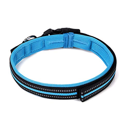 Gepolstertes blaues Hundehalsband, Welpenhalsband, Hundehalsband für kleine Hunde, reflektierendes, weiches Neopren, gepolstertes, atmungsaktives Nylon, für große, mittlere und kleine Hunde von TXTKT