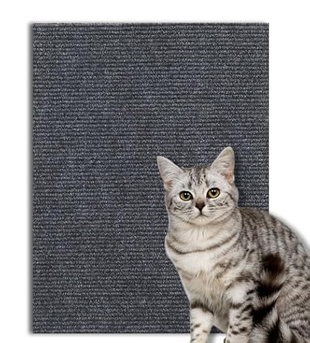TXXATX Kratzmatte Selbstklebend 240x40 cm Katzen Kratzbrett Dunkelgrau Kratzmatte Katze Kratzwand Kratzteppich für DIY Kratzbretter Katze Katzenturm Möbel Sofa Wand TXXATX Kratzmatte Selbstklebend 240x40 cm Katzen Kratzbrett Dunkelgrau Kratzmatte Katze Kratzwand Kratzteppich für DIY Kratzbretter Katze Katzenturm Möbel Sofa Wand von TXXATX