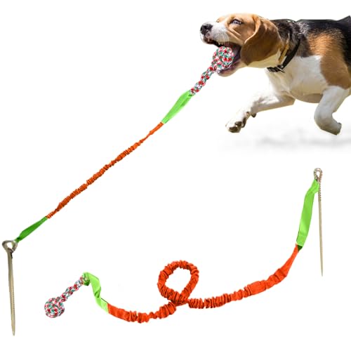 Outdoor-Hundespielzeug mit Pfahl, interaktives Hundespielzeug für aggressives Kauen, Tauziehen, Spielzeugball für große Rassen, Orange von TYCGGN