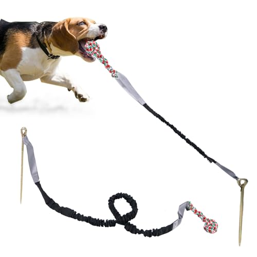 Outdoor-Hundespielzeug mit Pfahl, interaktives Hundespielzeug für aggressives Kauen, Tauziehen, Spielzeugball für große Rassen, Schwarz von TYCGGN