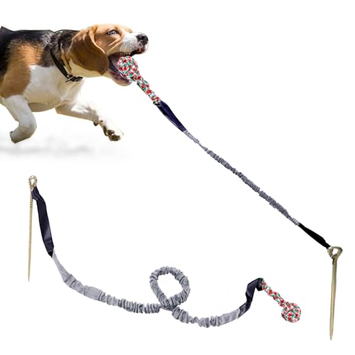 Outdoor-Hundespielzeug mit Pfahl, interaktives Hundespielzeug für aggressives Kauen, Tauziehen, Spielzeugball für große Rassen (Grau) von TYCGGN