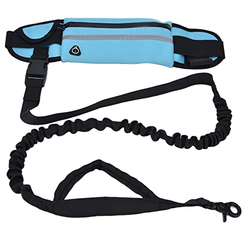 Sport-Hüfttaschen-Set, reflektierend, elastisch, explosionsgeschützt, für Hunde, Laufen, Laufen, Himmelblau von TYCIONG