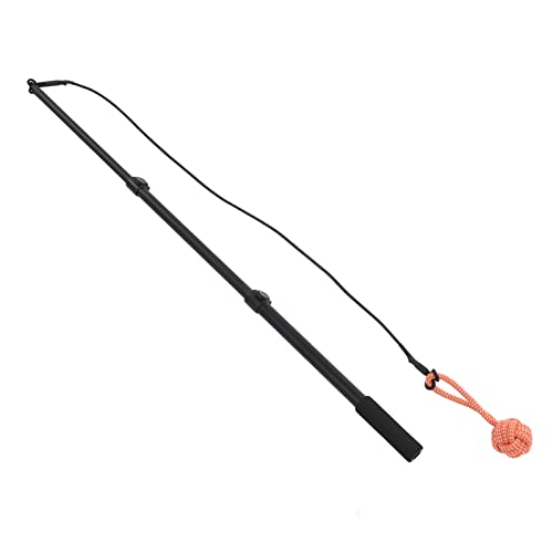TYCIONG Flirt Stangenhundspielzeug Einziehbares 40-101 cm Interaktives Trainingsspielzeug für Hunde mit Elastischem Kabel Nicht Rutschfestem Griff Kleine Mittelgroße Große Hunde TYCIONG Flirt Stangenhundspielzeug Einziehbares 40-101 cm Interaktives Trainingsspielzeug für Hunde mit Elastischem Kabel Nicht Rutschfestem Griff Kleine Mittelgroße Große Hunde von TYCIONG