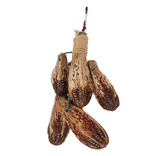Vogel-Kauspielzeug, Hängendes Vogelbiss-Kauspielzeug für Finken-Wellensittiche Vogel-Kauspielzeug, Hängendes Vogelbiss-Kauspielzeug für Finken-Wellensittiche von TYCIONG