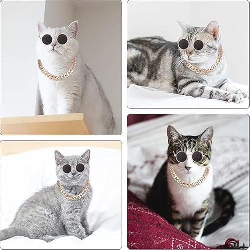 TYFGRT 2 Sets Haustierzubehör, Sonnenbrillen Und Goldketten Mit Dekoration, Haustierfoto-Requisiten, Katzenbekleidungszubehör, Lustige Haustierzubehörteile TYFGRT 2 Sets Haustierzubehör, Sonnenbrillen Und Goldketten Mit Dekoration, Haustierfoto-Requisiten, Katzenbekleidungszubehör, Lustige Haustierzubehörteile von TYFGRT