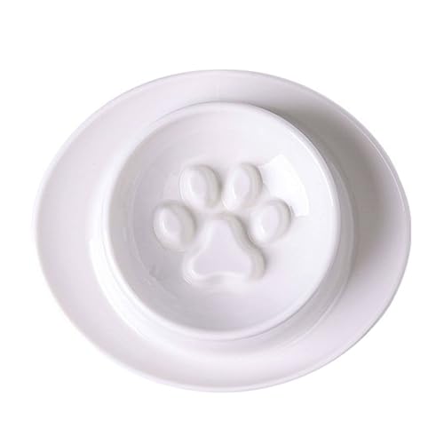 Katzennäpfe Aus Keramik, Howise Pet Bowl Katzennäpfe Für Futter Und Wasser-Weiß-150ml von TYMYYS