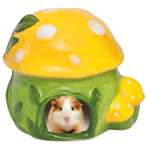 TYMYYS Hamsterversteck, Hamsterhaus, MeerschweinchenVersteck, Hamsterzubehör, Hamsterhäute, Rattenhaus-grün und gelb-10 * 10 * 10cm TYMYYS Hamsterversteck, Hamsterhaus, MeerschweinchenVersteck, Hamsterzubehör, Hamsterhäute, Rattenhaus-grün und gelb-10 * 10 * 10cm von TYMYYS