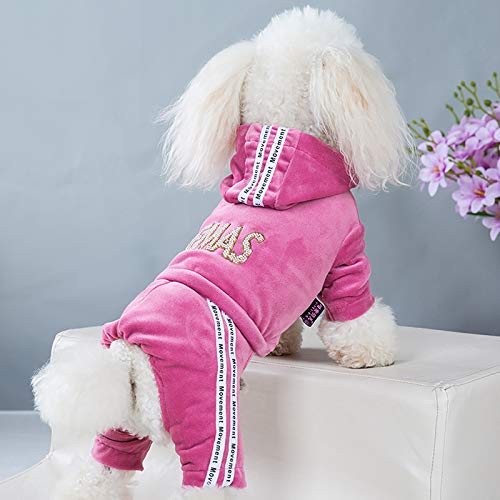 TYTUOO Hunde Sport Kleidung Herbst und Winter Kleine Hund Bär Kleidung Hund Vierbeinige Kleidung Super Kleine Hundekleidung Herbst und Winter Kleine Hund Bichon Kleidung (Pink) von TYTUOO