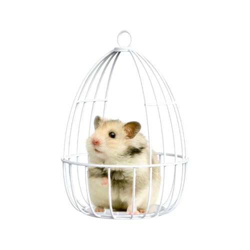 TYUKXJH Kleintier Hängematte, Eisendrahtgitter Hamster Spielzeug, Schlafnest Versteck für Zwerghasen Kleintiere Gleithörnchen Streifenhörnchen Meerschweinchen TYUKXJH Kleintier Hängematte, Eisendrahtgitter Hamster Spielzeug, Schlafnest Versteck für Zwerghasen Kleintiere Gleithörnchen Streifenhörnchen Meerschweinchen von TYUKXJH