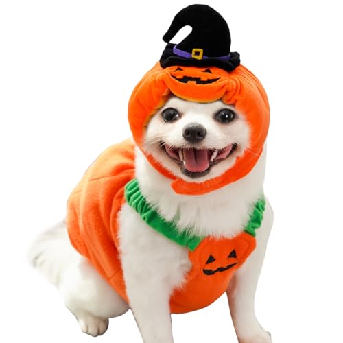 TYUKXJH Kürbis-Kostüm für Hunde, Hut in Kürbisform | Bequemes Outfit für Cosplay Hund für Party Halloween Herbst Winter tägliche Spaziergänge von TYUKXJH