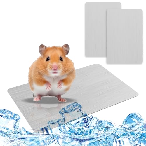 TYXHXTF 2PCS 12cm x 8cm Hamster kühlplatte, Kühlkissen Eisbett für Hamster, Meerschweinchen, Kleine Haustiere, Hamster Zubehör für den Sommer Hamsterkäfig von TYXHXTF