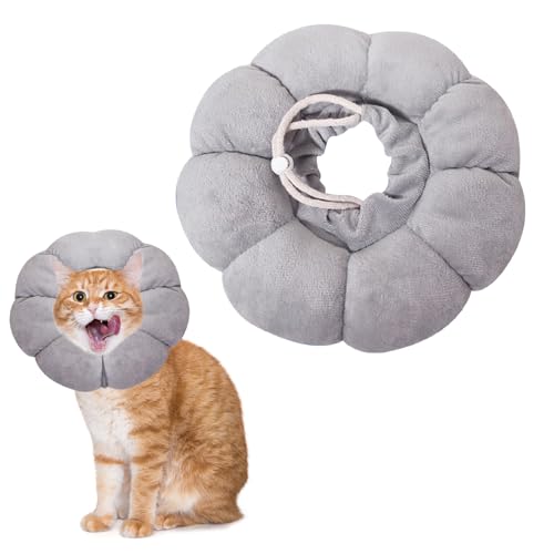 TYXHXTF Halskrause Katze, Einstellbarer Halskrause Katze Halsband, Anti Biss Safety Schützender Kragen, für Katzen Kleiner Hunde Nach Operation und Verletzungen TYXHXTF Halskrause Katze, Einstellbarer Halskrause Katze Halsband, Anti Biss Safety Schützender Kragen, für Katzen Kleiner Hunde Nach Operation und Verletzungen von TYXHXTF