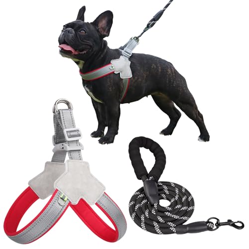TYXHXTF Hundegeschirr, leuchtendes Hundegeschirr, mittelgroße Hunde, reflektierend und atmend, Keine Spannung, Hundegeschirr, Brustgeschirr, geeignet für mittelgroße Hunde TYXHXTF Hundegeschirr, leuchtendes Hundegeschirr, mittelgroße Hunde, reflektierend und atmend, Keine Spannung, Hundegeschirr, Brustgeschirr, geeignet für mittelgroße Hunde von TYXHXTF