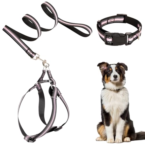 TYXHXTF Hundegeschirr mit Leine, Verstellbares Hundegeschirr, Anti Zug Hundegeschirr, Atmungsaktiv, Brustgeschirr und Leine Set für Kleine und Mittelgroße Hunde TYXHXTF Hundegeschirr mit Leine, Verstellbares Hundegeschirr, Anti Zug Hundegeschirr, Atmungsaktiv, Brustgeschirr und Leine Set für Kleine und Mittelgroße Hunde von TYXHXTF