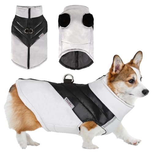 TYXHXTF Hundemantel Wasserdicht, Winter warm für Kleine und Mittelgroße Hunde, Grau von TYXHXTF