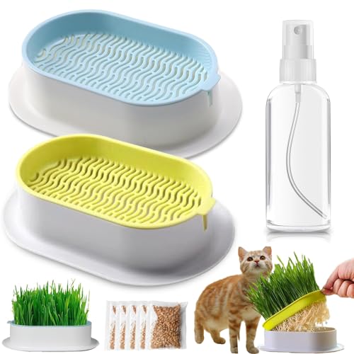 TYXJJ-BF Katzenminzen Wheat Grass Planting Paket,Katzengras Keimschale Set 2 Katzenminze- für Katzen, stimulierend und verdauungsfördernd, geeignet für alle Katzen (Attachment- 10-15 cm) von TYXJJ-BF