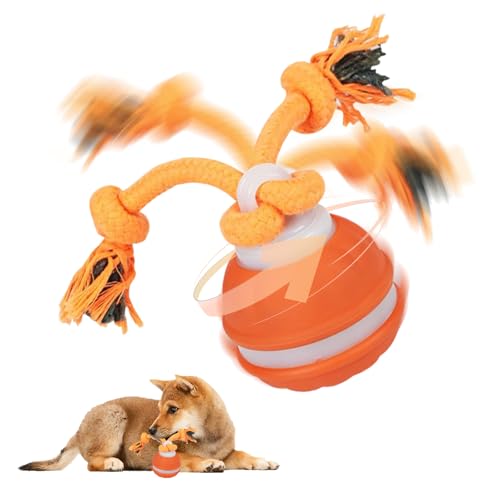 TZQFROCE Interaktives Hundespielzeug Hunde Ball Spielzeug Automatisch Rollender Ball für Hunde interaktiver Hundespielball für Aktivitäten und Unterhaltung TZQFROCE Interaktives Hundespielzeug Hunde Ball Spielzeug Automatisch Rollender Ball für Hunde interaktiver Hundespielball für Aktivitäten und Unterhaltung von TZQFROCE