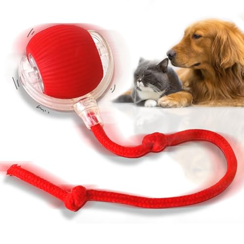 TZQFROCE Interaktives Katzenspielzeug Katzenball Spielzeug Elektrisch Katzenball Rollball mit Schwanz für Katzen 3 Arbeitsmodi 360° Rolling Intelligentes Katzenspielzeug für Katzen Und Hunde TZQFROCE Interaktives Katzenspielzeug Katzenball Spielzeug Elektrisch Katzenball Rollball mit Schwanz für Katzen 3 Arbeitsmodi 360° Rolling Intelligentes Katzenspielzeug für Katzen Und Hunde von TZQFROCE
