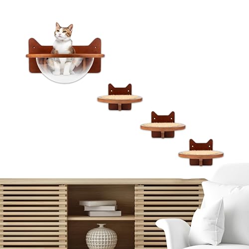 TabbyTowne Katzen-Wandmöbel-Set mit transparentem Kapselnapf Bett, Wandstufen mit Sisal-Pads für Kätzchen und ausgewachsene Katzen, langlebiges und stabiles Set, perfekt zum Klettern, Faulenzen und von TabbyTowne