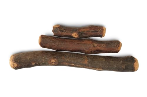 Olivenholz für Hunde - Kauholz aus Olivenbaumholz - M - Premiumqualität von Tackenberg Olivenholz für Hunde - Kauholz aus Olivenbaumholz - M - Premiumqualität von Tackenberg von Tackenberg