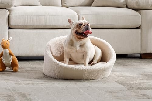 Hundebett für kleine Hunde, einzigartiges Design – Kaschmir-Haustierbett mit Rückprallschaum, abnehmbarer, waschbarer Bezug, kratzfest, schmutzabweisend, bis zu 50 kg von Tacotimo