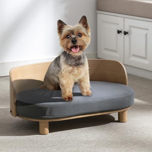 Hundebett für kleine Hunde, einzigartiges Design – Samt-Haustierbett mit Rückprallschaum, abnehmbarer, waschbarer Bezug, kratzfest, wasserdicht, schmutzabweisend, bis zu 100 kg Hundebett für kleine Hunde, einzigartiges Design – Samt-Haustierbett mit Rückprallschaum, abnehmbarer, waschbarer Bezug, kratzfest, wasserdicht, schmutzabweisend, bis zu 100 kg von Tacotimo