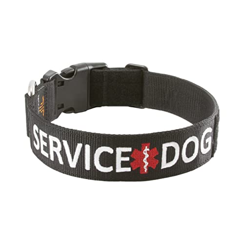 Tacticollar - Service-Hundehalsband, Nylon, verstellbar, Stickerei, mit Platz für Klettflicken ((groß) 43,2–58,4 cm Länge x 3,8 cm Breite) von Tacticollar