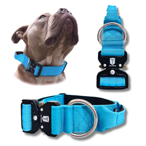 TACTIDOGS Halsband (Blau, L) von Tactidogs