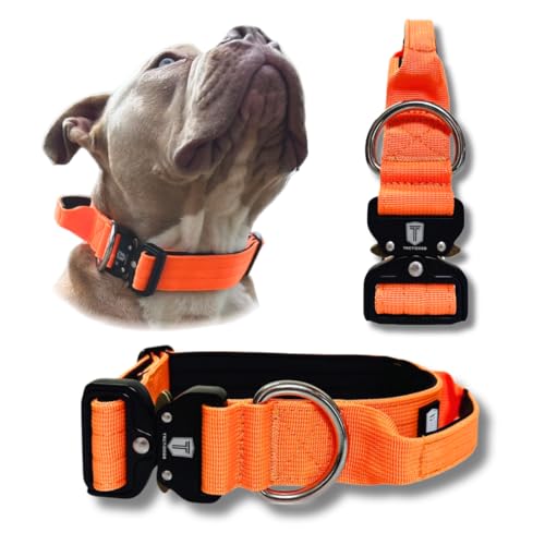 TACTIDOGS Halsband (Orange, L) von Tactidogs
